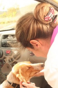 Local veterinarian Dr. Amanda Mikeleti, who has performed hundreds of spay/neuters through KATs’ programs, and has also done hundreds more on her own time as a volunteer, made sure my foster girl Princess Jorja Specklestockings was comfortable for the ride home after spaying her.
