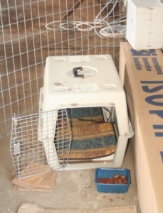 Atsaros kennel food pen crop flip 420