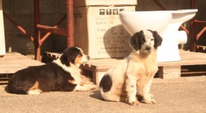 Violetta with her mom, Vaso