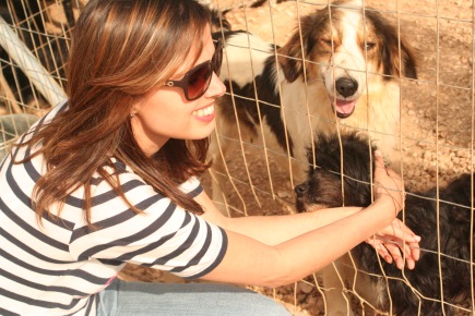 On a visit here a few weeks ago, Anneloes made many friends at Animal Rescue Kefalonia (ARK) / Photo: Katerina Lorenzatos Makris
