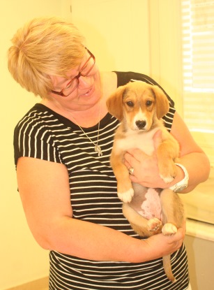 Arnolda Meisel-Westerduin holding Alpha (now named Balou in her new home), one of the 4 abandoned "Alphabet Puppies) I rescued from a local Alpha Beta supermarket parking lot and fostered until Arnolda kindly took them to the Netherlands for rehoming / Photo: Katerina Lorenzatos Makris