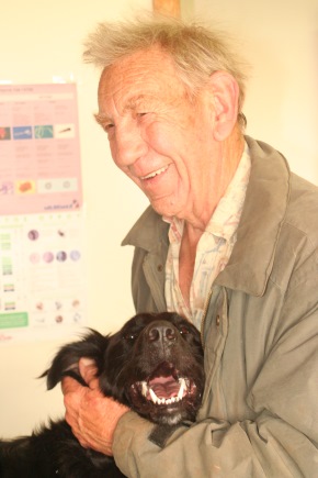 Thanassis's foster dad John Nineham comforts him at the vet's office / Photo: Katerina Lorenzatos Makris