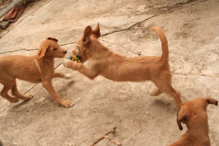 Playing with my sister Frederike before she left / Photo: Katerina Lorenzatos Makris