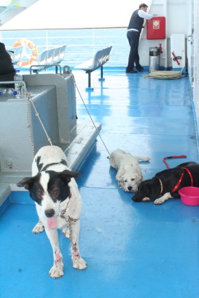Agapi, Julia, and Despina on the ferry leaving Kefalonia / Photo: Katerina Lorenzatos Makris