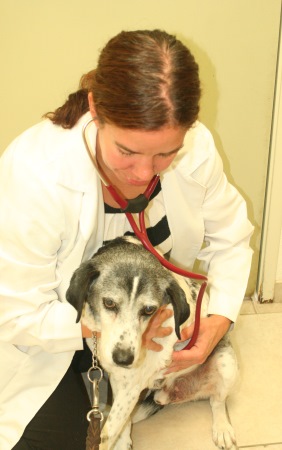 Dio gets exam plus love from Dr. D’Amore. / Photo: Katerina Lorenzatos Makris