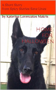 "Home for Halloween," a spooky romantic read