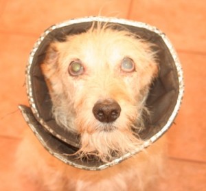 Inflammation made her eyes bulge / Photo: Katerina Lorenzatos Makris