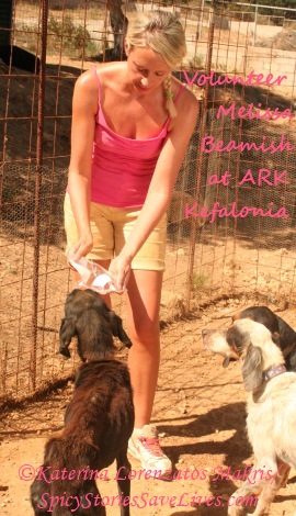 Melissa tending to dogs in advanced stage of Leishmaniasis disease at Animal Rescue Kefalonia (ARK). Every day she brought these patients special treats to give them a little extra happiness.