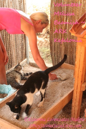 Melissa Beamish comes from the United Kingdom to volunteer at Animal Rescue Kefalonia (ARK) for several weeks at a time. While other folks are off enjoying the beaches and sightseeing, she works 12 or more hours a day cheerfully and unflinchingly. She performs poop scooping and every other chore in the book to help keep the overflowing shelter’s 400 or so animals clean and healthy.