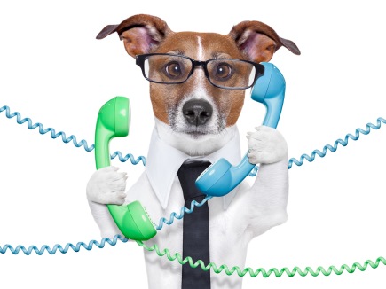 Humans can't be trusted with telephones? Photo: Bigstock