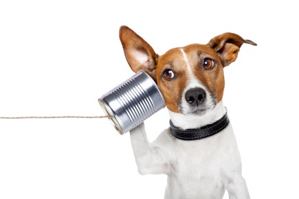 Inventor of telephone predicted problem Photo: Bigstock