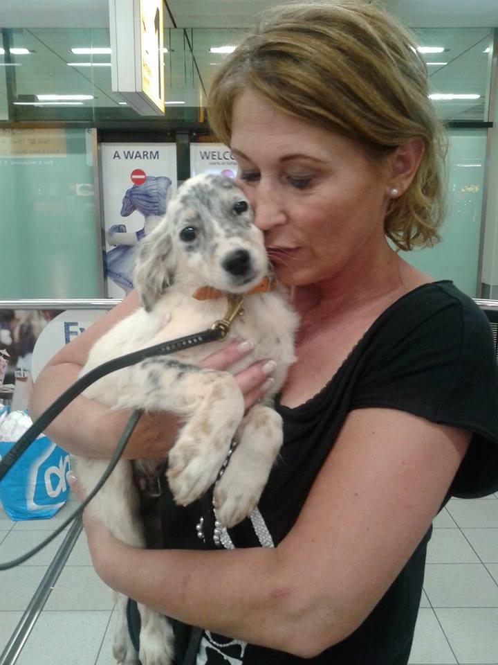 Earthquake Puppy gets a kiss from volunteer flight partner Wilma upon arrival in Amsterdam. Photo: Courtesy Gaia Dogs