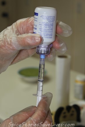 A 28-day treatment with Milteforan (a.k.a. Miltefosone), is highly effective for Leishmaniasis. Relatively easy to give at home, this liquid medication is measured into a syringe, then mixed into the dog's food. Leish-positive dogs must also receive Allopurinol, an inexpensive drug in pill form, every day for life.