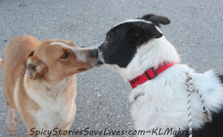 First kiss