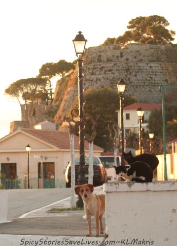 Princess Jorja and her kitty courtiers, in shadow of castle ramparts