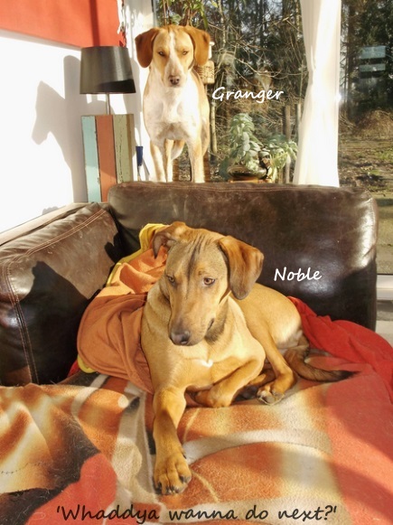 Photo: Alinda
