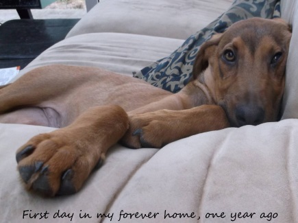 Photo: Forever Mom Alinda