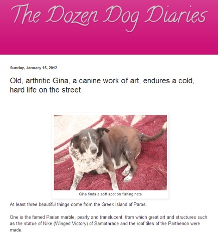 Senior sweetie Gina on the streets of Greek island Paros melted - and broke - my heart.