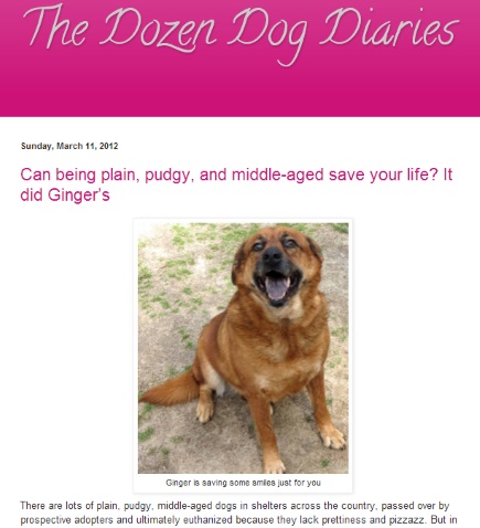 Wedding bells: The Dozen Dog Diaries merges with Spicy Stories Save Lives