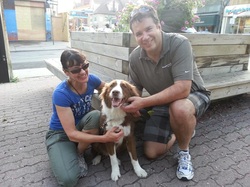 Gussie, another Greek dog re-homed in Canada by Cause 4 Paws, was originally found living in a swamp.