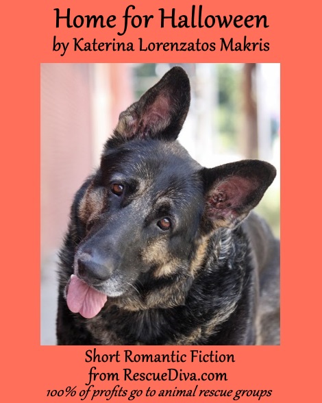 Spooky spicy story: Lost dog leads to love in ‘Home for Halloween’