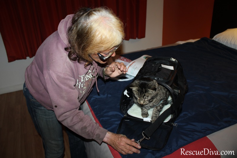 Brave animal rescuer prepares for trip home after long ordeal