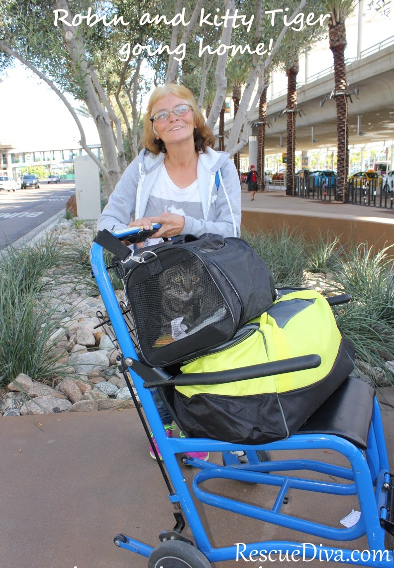 Lost, disabled rescuer and her beloved kitty finally make it home
