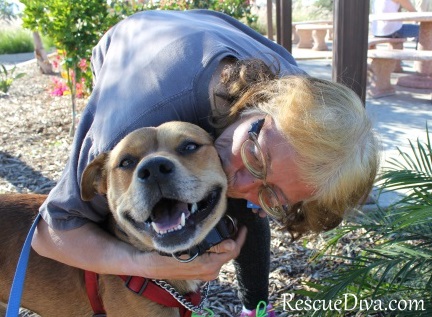 Abused dog, homeless rescuer, and cat on the path to new lives