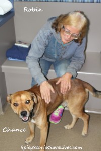 Robin bravely intervened when Chance's former owner beat him.