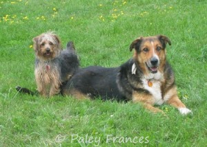 Crispin with his best buddy Leonardo, summer 2003