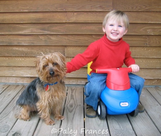 Should you buy a puppy to save him from a pet store? One rescuer’s creative solution