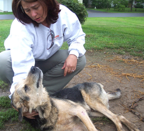 Thayne with chained, dying Doogie Photo: Dogs Deserve Better
