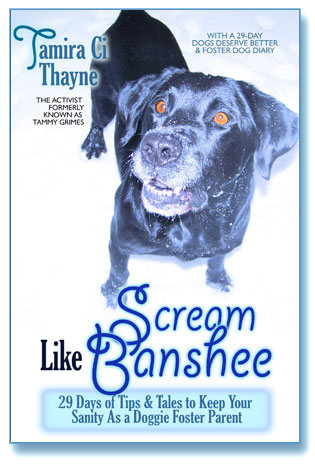 One of Thayne's books Photo: Tamira Thayne