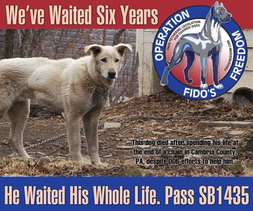 Dogs Deserve Better poster on "Operation Fido's Freedom" legislative campaign