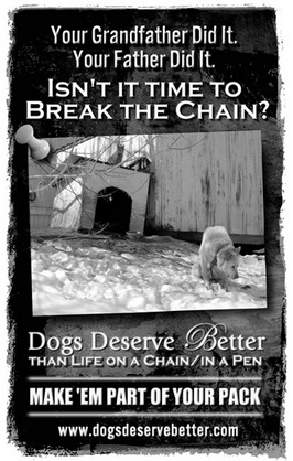 One of the inexpensive educational posters available for order from Dogs Deserve Better