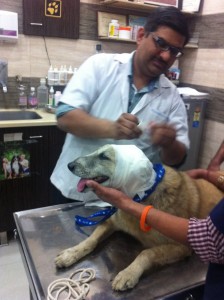 Asha receiving treatment Photo: Stichting AAI
