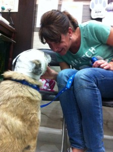 Flight attendant Annelies with her rescue Asha / Photo: Stichting AAI