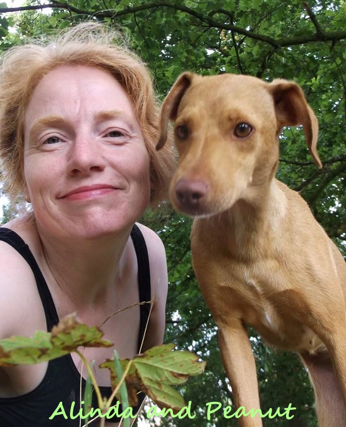 Adopted! Spicy’s sponsored shelter dogs Peanut and Buttercup find a new family