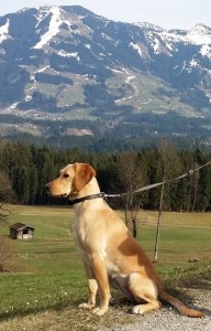Raza on holiday in the Alps with her mommy Valesca and the rest of her forever family, thanks to re-homing by Stichting AAI. / Photo: Valesca