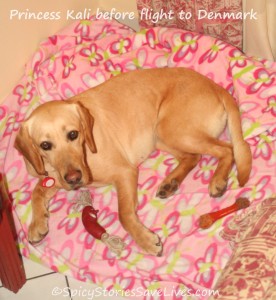 During our trek to Athens via boat and car, Penelope's lookalike Kali caught up on her beauty rest in a hotel