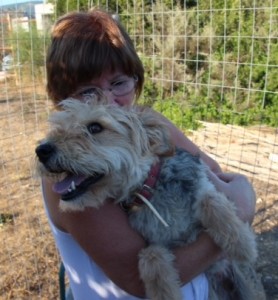 My buddy Hera with our foster mom Lynda, who loves us and takes good care of us while we look for our forever families.