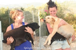 Shelter volunteers carried the girls to my car.
