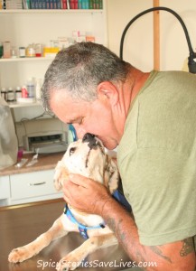Rescue Diva sponsoree Despi got a reassuring kiss from her Uncle Keith Preston at the vet's office, as he helped her get prepared for re-homing. P.S. Despi later joined our own family here at Spicy HQ in California. :-)