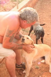 Keith dispensing TLC to Penelope (front) and Julia Jr. (back) until they went to their forever families. Penelope, now named Raza, was later fostered by friend Alinda van Geffen in the Netherlands till wonderful Dutch re-homing group Stichting AAI placed her with loving adopters Valesca and Jochem. Meanwhile Julia Jr. traveled with Katerina to become a permanent member of the crazy crew at Spicy HQ in California.