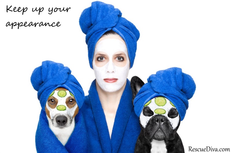 12 resolutions a dog rescuer makes (and often breaks) every year