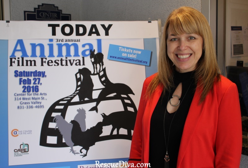 Rescue Diva donates $500 to help sponsor Animal Film Festival