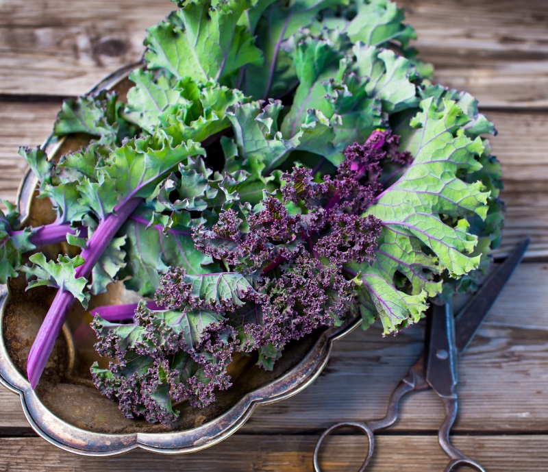 A kale-bashing reprieve: National Kale Day (with yummy recipes)