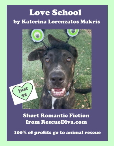 ‘Love School’:  Unruly dog helps heal a broken heart in romantic fiction story