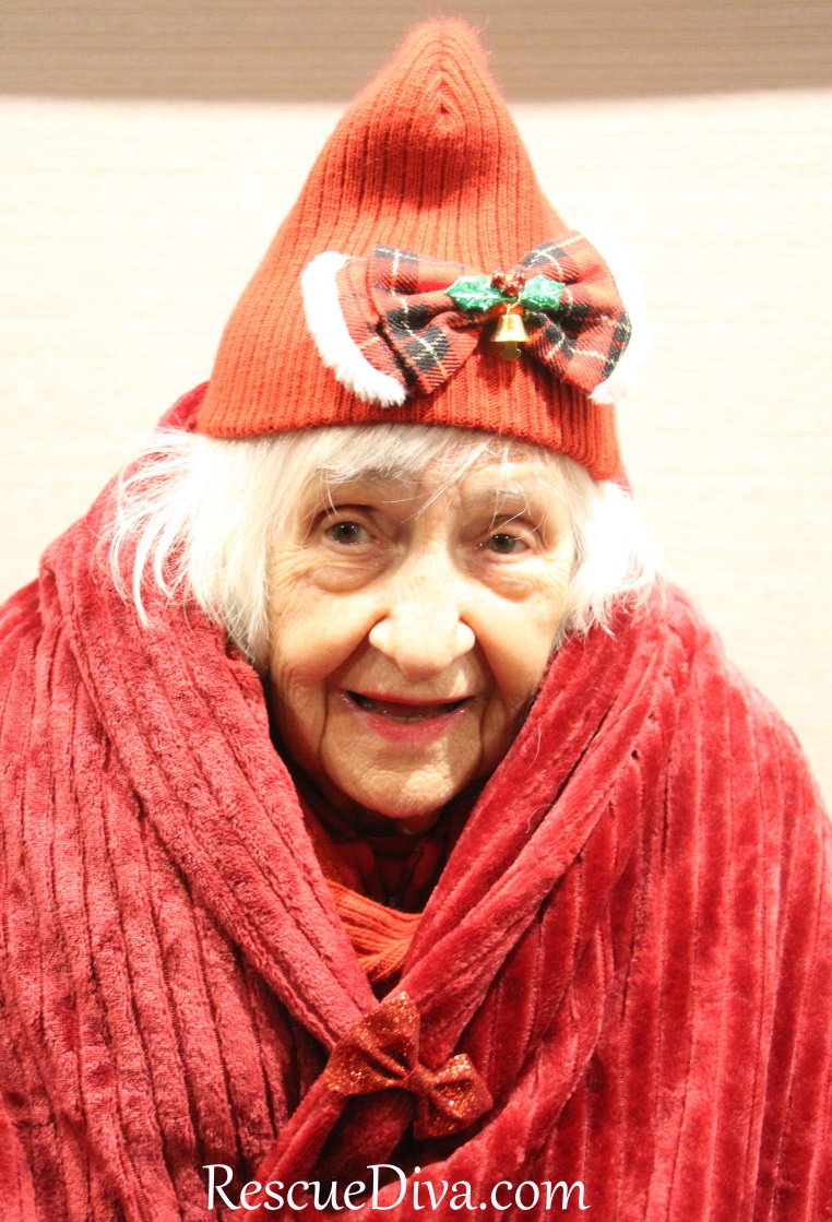 Mom’s 90th holiday season: The challenges and pleasures of festive elder care